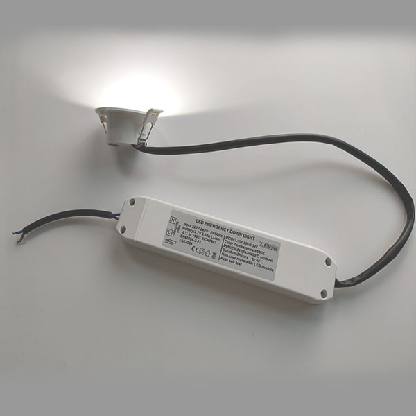 3W Emergency downlight