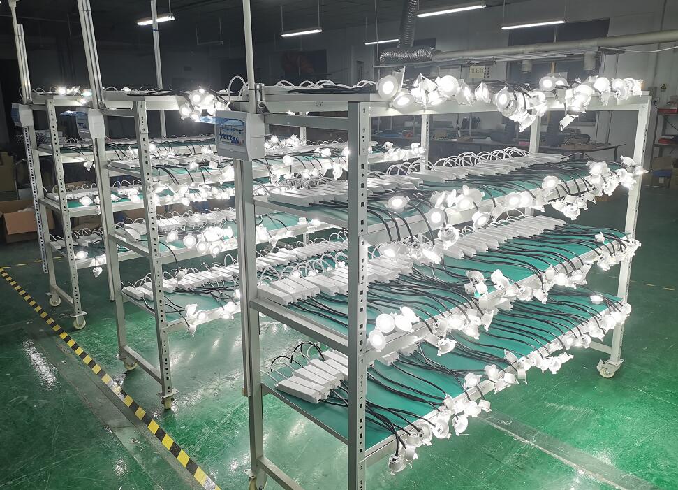 3W Emergency downlight