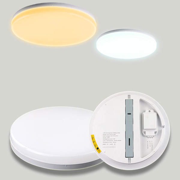 Combined maintained emergency luminaire