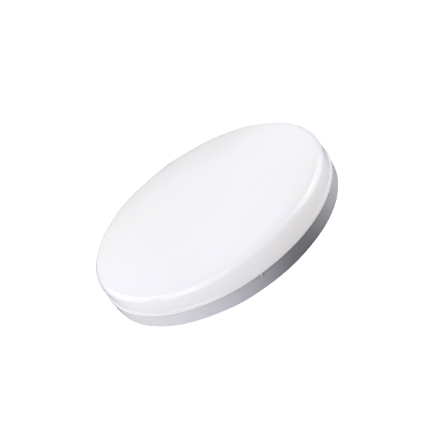 Combined maintained emergency luminaire