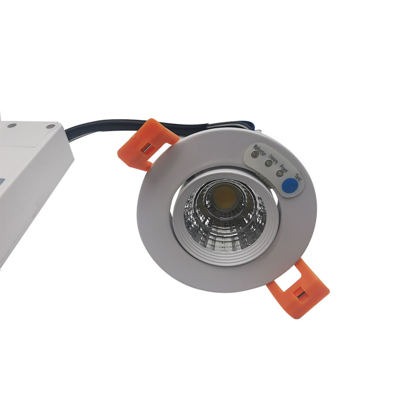LED Light with Emergency Backup Battery