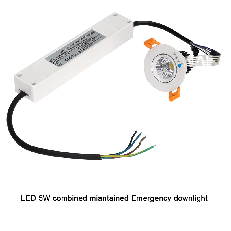 Emergency downlight