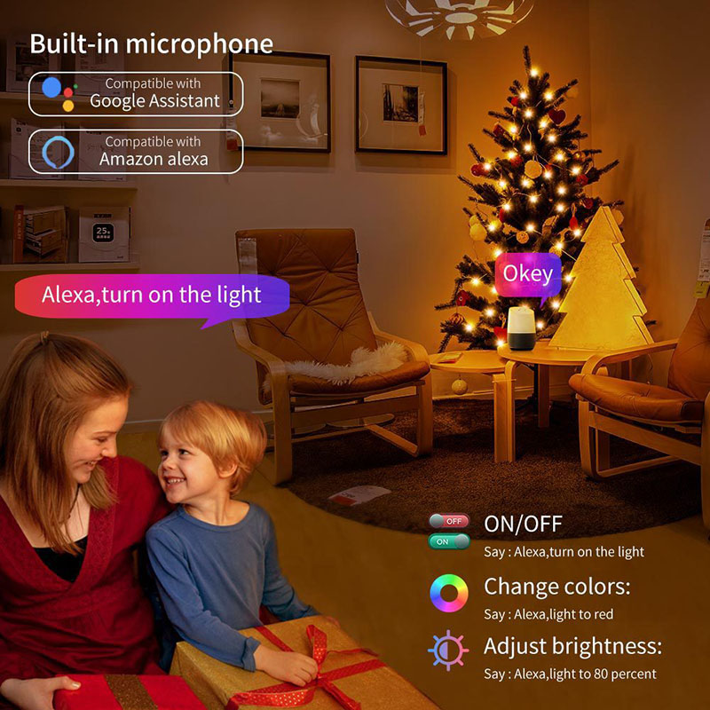 Magic color christmas string lights